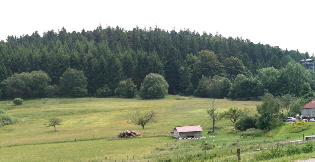 Gites Du Kreuzweg 르호왈드 외부 사진